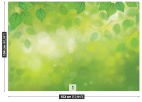 Fototapeta Vliesová Zelené listy 104x70 cm