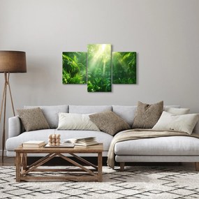 Obraz - Dažďový prales (90x60 cm)