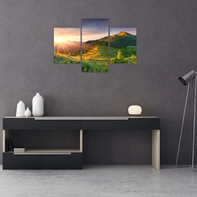 Obraz - Letná krajina (90x60 cm)