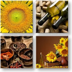 Obraz na stenu Taste of the Sun