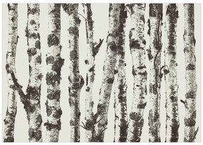 Artgeist Fototapeta - Stately Birches - First Variant Veľkosť: 245x175, Verzia: Samolepiaca