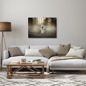Sklenený obraz - Strážca lesa (70x50 cm)