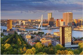 Obraz - Panorama Rotterdamu, Holandsko (90x60 cm)