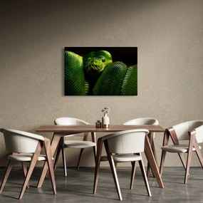 Obraz - Zelený had (90x60 cm)