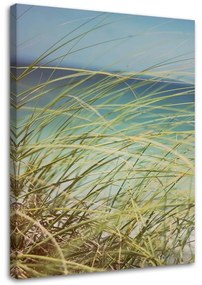 Obraz na plátně Plážová tráva Duny Písek - 80x120 cm
