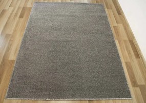 Koberec Birch 69 sivý