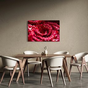 Obraz kvetu červenej ruže (90x60 cm)