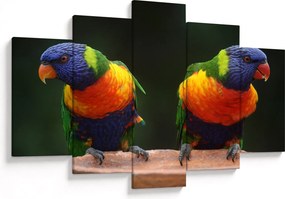Obraz papagájov (150x105 cm)