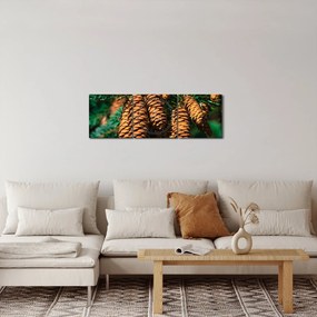 Obraz šišiek (s hodinami) (90x30 cm)