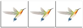 Obraz na plátne - Kolibrík na bielom pozadí - panoráma 589A (90x30 cm)