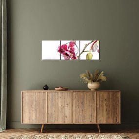 Obraz kvetu orchidey (s hodinami) (90x30 cm)