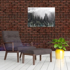 Obraz - Les s ilustrovanými prvkami (70x50 cm)