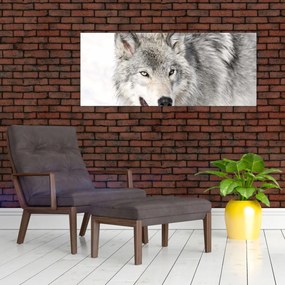 Obraz - Vlk v prírode (120x50 cm)
