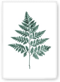 Plagát Fern 21 x 30 cm Emerald Green