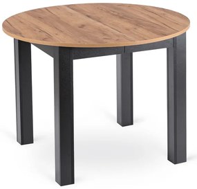 Rozkladací stôl RAMON 103–223 cm Dub Craft / Čierna