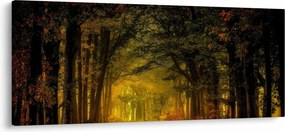 Obraz lesu (120x50 cm)