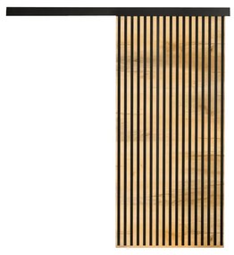 Posuvné dvere BELMA - dub sonoma/čierna / 100