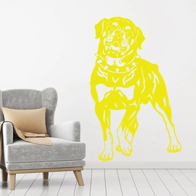 Veselá Stena Samolepka Pes Rotvajler Farba: žlutá, Veľkosť: 100 x 63 cm