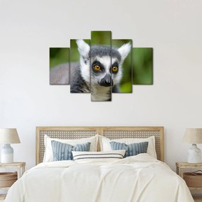 Obraz lemura (150x105 cm)