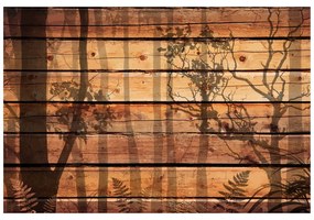 Tapeta v tieni stromov