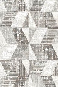 TA Koberec 2061 1 855 ARIA Rozmer: 200x300 cm