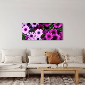 Obraz - Kvety (120x50 cm)