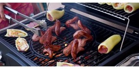 Gril na drevené uhlie čierna