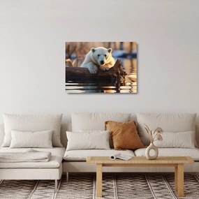 Sklenený obraz - Medveď ľadový (70x50 cm)