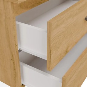 Závěsná skříňka pod umyvadlo s deskou Nel 2S 60 cm dub Artisan