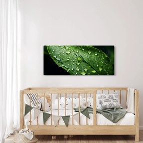 Obraz - List po daždi (120x50 cm)