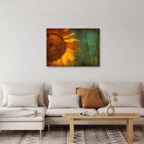Obraz - Slnečnica (70x50 cm)