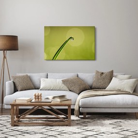 Obraz kvapky vody na tráve (90x60 cm)