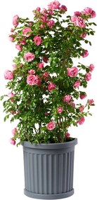 BAMA Kvetináč ROMA 35 l, antracit Množstvo: 2 ks