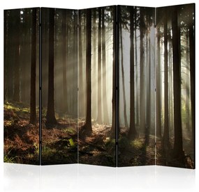 Artgeist Paraván - Coniferous forest [Room Dividers]