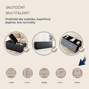 InternetovaZahrada Úložná lavica s výklopným vekom 115x38x38 cm - čierna