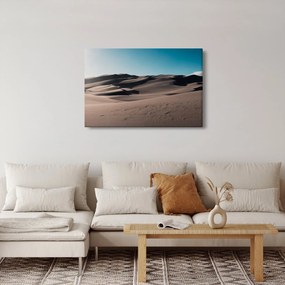 Obraz - Z púšte (90x60 cm)
