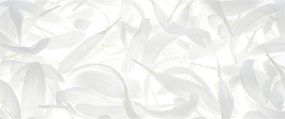 Obraz - Okvetné lístky (120x50 cm)