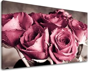 Obraz na stenu KVETY RUŽE XOBKV139E11 - 40x60 cm