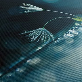 Obraz - Makro (90x60 cm)