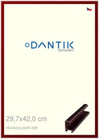DANTIK rám na obraz 29,7x42 | ALU Červená Rubin broušená (Plexi Čiré)