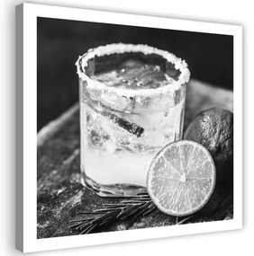 Obraz na plátně Nápoje na ledu černé a bílé - 40x40 cm