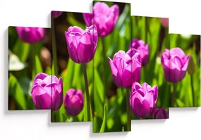 Obraz tulipánov na lúke (150x105 cm)