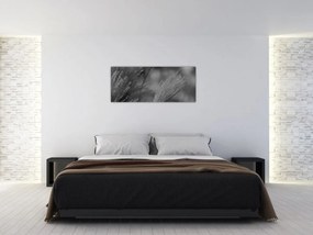 Obraz - Sušená pampová tráva (120x50 cm)