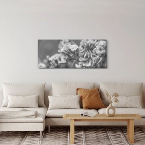 Obraz - Sušené kvety (120x50 cm)