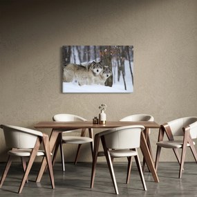 Obraz - Vlci v zime (90x60 cm)