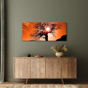 Obraz - Dub pri západe slnka (120x50 cm)
