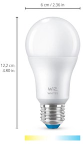 WiZ A60 LED žiarovka WiFi E27 8 W RGB