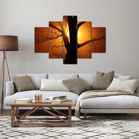 Obraz stromu pri západe slnka (150x105 cm)