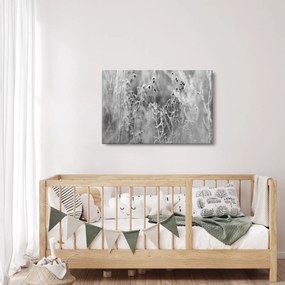 Obraz - Divoká lúka (90x60 cm)