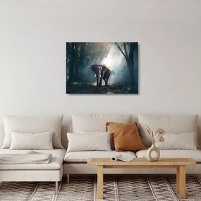 Sklenený obraz slona v džungli (70x50 cm)
